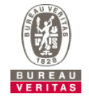 Bureau veritas